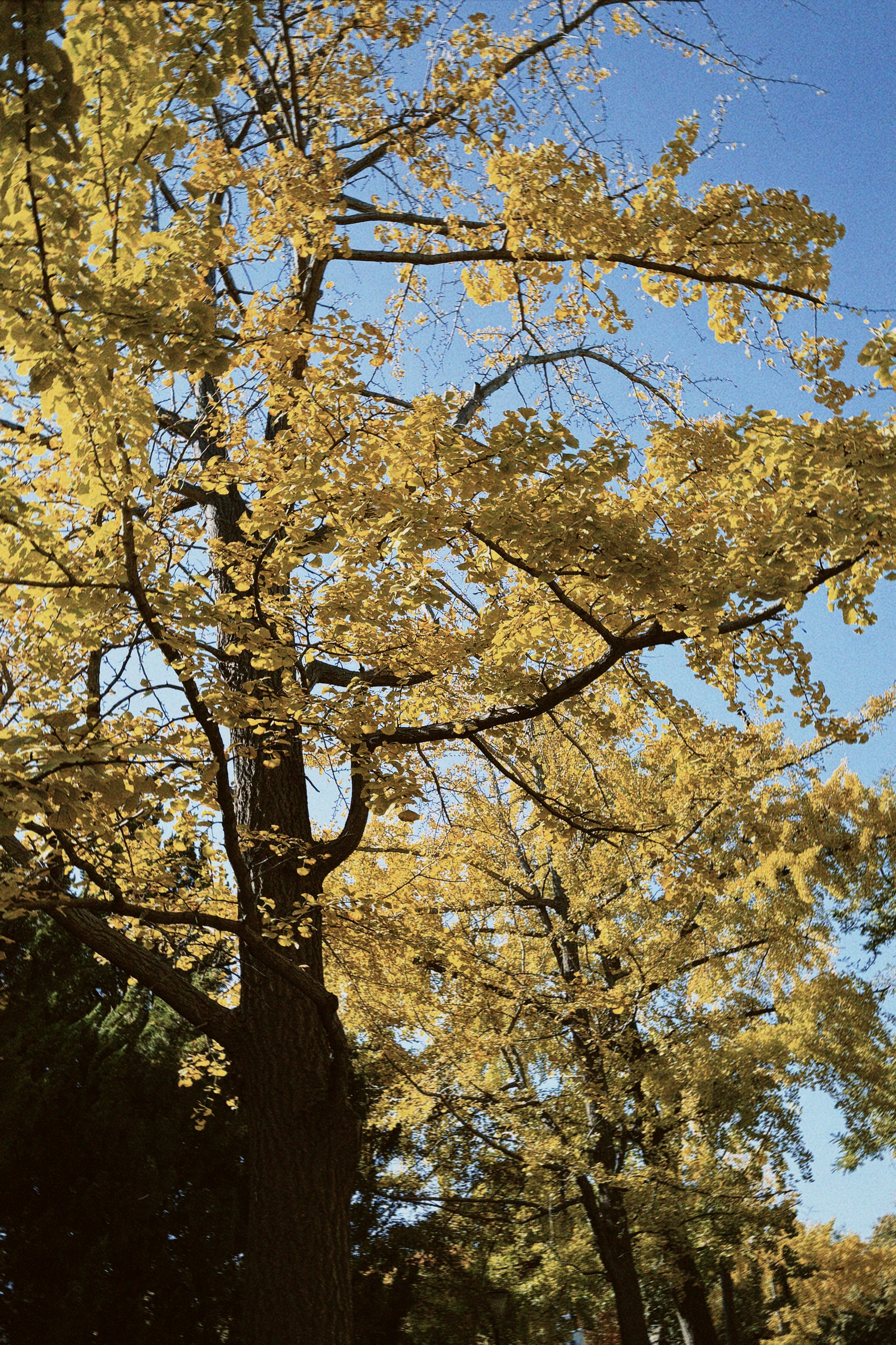 Photo 08